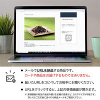 AoyamaLab オンラインギフト URLですぐ納品 贈り物や景品に 東京・新宿 「花園万頭」 ぬれ甘なつとお手玉 (15個入) メール1通（直送品）