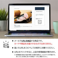 AoyamaLab オンラインギフト URLですぐ納品 贈り物や景品に 神奈川 「鎌倉ハム富岡商会」 ハムギフト メール1通（直送品）