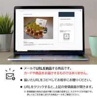 AoyamaLab オンラインギフト URLですぐ納品 贈り物や景品に 愛知 うなぎ割烹「一愼」 特製蒲焼】 用二重封筒 熨斗 メール1通（直送品）