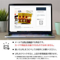 AoyamaLab オンラインギフト URLですぐ納品 贈り物や景品に 愛知 うなぎ割烹「一愼」 蒲焼 D2-FDC9249-dgtl メール1通（直送品）