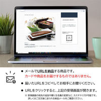 AoyamaLab オンラインギフト URLですぐ納品 贈り物や景品に 愛知 うなぎ割烹「一愼」 特製長蒲焼 メール1通（直送品）