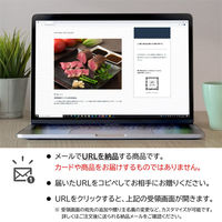 AoyamaLab オンラインギフト URLですぐ納品 贈り物や景品に 大阪 「ノワ・ド・ココ」 ローストビーフ 2種セット メール1通（直送品）