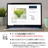 オンラインギフト URLですぐ納品 贈り物や景品に Ortolano オルトラーノ 野菜定期便 (Mコース4回お届け) メール1通（直送品）