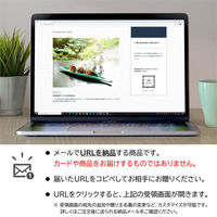 AoyamaLab オンラインギフト URLですぐ納品 贈り物や景品に 「下鴨茶寮」 ちりめんナッツ (8個入り x 2箱セット) メール1通（直送品）