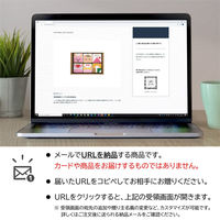 AoyamaLab オンラインギフト URLですぐ納品 贈り物や景品に ライスドール (女の子) 6個入 D2-TNB9051-dgtl メール1通（直送品）