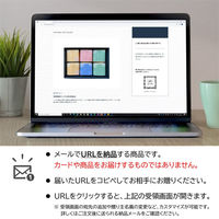 AoyamaLab オンラインギフト URLですぐ納品 贈り物や景品に ブランド銘柄 無洗米 食べくらべ ギフトセット B メール1通（直送品）