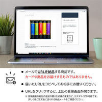 AoyamaLab オンラインギフト URLですぐ納品 贈り物や景品に 越後NIGINIGI ブランド米食べくらべセット B 化粧箱 メール1通（直送品）