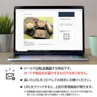 AoyamaLab オンラインギフト URLですぐ納品 贈り物や景品に 京蕎麦 丹波ノ霧 そば三昧セット 2人前 メール1通（直送品）