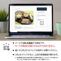 AoyamaLab オンラインギフト URLですぐ納品 贈り物や景品に 京蕎麦 丹波ノ霧 そば三昧セット 4人前 メール1通（直送品）