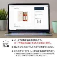 AoyamaLab オンラインギフト URLですぐ納品 贈り物や景品に ハーブスピリッツ ギフトセット (2種×500ml) メール1通（直送品）