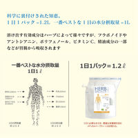 THE BREW COMPANY　HERB BREWER　7種類セット　1セット（7袋）（直送品）