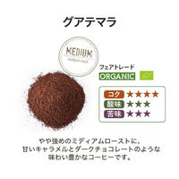 THE BREW COMPANY　COFFEE BREWER　グアテマラ　1セット（3袋）（直送品）