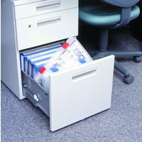 和泉化成 ファイルケース 3566 A4 1セット(10個)（直送品）