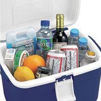 JEJアステージ フォレスクルー#13 Dブルー FRC13 1個