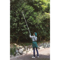 アルス 160ZD-3.0-3D ズームチョキエコノ 採集型　1本 アルスコーポレーション（直送品）