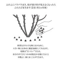 タクト バイオゴールドセレクション薔薇 1kg 4944522061117 1パック（直送品）