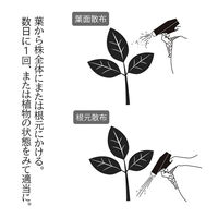 タクト バイオゴールドきままにミスト 500ml 4944522030113 1個（直送品）