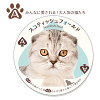 アイアップ ねこトランプ 玩具 おもちゃ カード 008692 1個（直送品）