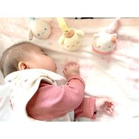 アイアップ サンリオベビー ぬいコロン ベビー　ポムポムプリン　ベビー 玩具 おもちゃ 528978 1個（直送品）