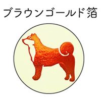 クローズ・ピン みんなの文具 メッセージカード いぬ ブラウン MC16030 1セット(80枚:8枚×10)（直送品）