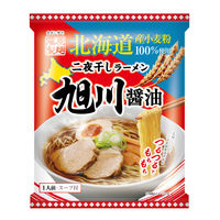 北海道二夜干しラーメン旭川醤油 10個 藤原製麺 袋麺