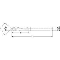 ジーネット GIGA ギガ・セレクション 超硬リーディングドリル GSLDR12X60 1本（直送品）