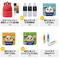 ピースアップ 30点防災セット (リュック:ネイビー) set10001476NA 1セット