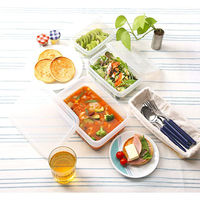 サンコープラスチック Dパック D-10 6.2L ナチュラル(セット販売:10個) 4973230054340 1セット(10個)（直送品）