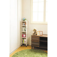 サンコープラスチック eラック SS ベージュ(セット販売:10個) 4973230431172 1セット(10個)（直送品）