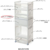 サンコープラスチック eラック 小物整理 L シンプルホワイト(セット販売:20個) 4973230436290 1セット(20個)（直送品）
