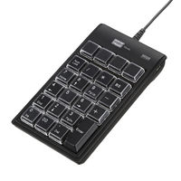 サンワサプライ プログラマブルテンキー NT-19UH2BKN2 1個（直送品）