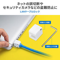 サンワサプライ LANケーブルロック(特殊レンチタイプ) SL-93 1個