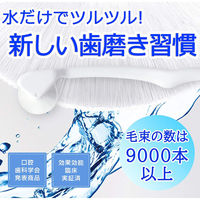 T.W.C 歯ブラシ コロコロブラシ Nモデル ブルー 2本セット 4589415747534 1セット(2本セット)（直送品）