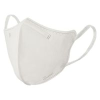 アイリスオーヤマ ＤＡＩＬＹ　ＦＩＴ　ＭＡＳＫ　立体　ふつう　３０枚入 RK-F30SXH 1箱(30枚入り)（直送品）