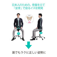 アーユル・チェアージャパン アーユル・チェアー ゼロワン ブラック 30037 1脚（直送品）