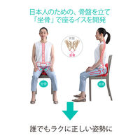 アーユル・チェアージャパン アーユル メディカルシート レッド 30136 1脚（直送品）