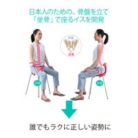 アーユル・チェアージャパン スツールタイプ Mサイズ ブラウン 30242 1脚（直送品）