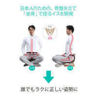 アーユル・チェアージャパン アーユル・チェアー あぐらイス レッド 30297 1脚（直送品）