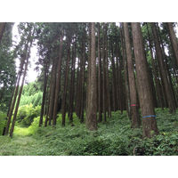 竹谷商事 識別テープ0.08mm×30mm×50m ピンク 0.08×30×50ピンク 1ケース(10本入)（直送品）