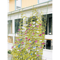 第一ビニール 緑のカーテン 3m伸縮 ワイド1800 4968438012155 1個