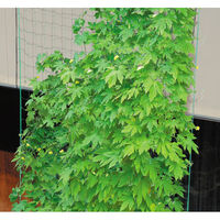 第一ビニール 緑のカーテン 5m吊下げ ワイド1800 4968438013138 1個（直送品）