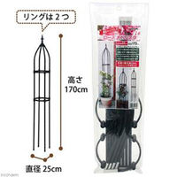 第一ビニール 組立かんたんローズオベリスク170cm 4968438020396 1個
