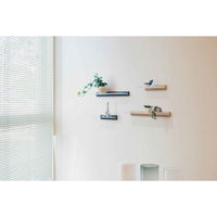 オリジン工業 スリムシェルフ　アクリル板　飾り棚　ディスプレイ棚　幅40cm　セピア 263159 1個（直送品）