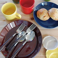 フリート プレート 22cm 箸休め 中皿 陶器 食器 日本製 キャラメル 298829 1個（直送品）