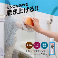 アイメディア お風呂洗剤 100g 業務用 浴室クレンザー 392368 1個（直送品）