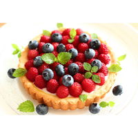 タイガークラウン タルト型 21cm アルマート アルミ アルマイト加工 400762 1個（直送品）