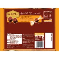 正栄デリシィ emmy キャラメリーナ 4580346091239 155g×16個（直送品）