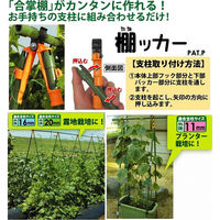 第一ビニール 棚ッカー 3個入φ11mm支柱用 4968438014036 1セット(10個)（直送品）