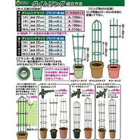 第一ビニール ダイムリング大(直径32cm) 4968438017006 1セット(3個)（直送品）