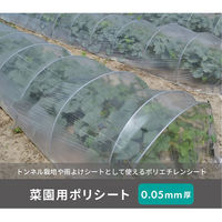第一ビニール 菜園用ポリシート0.05mm×150cm×10m 4968438014302 1セット(3枚)